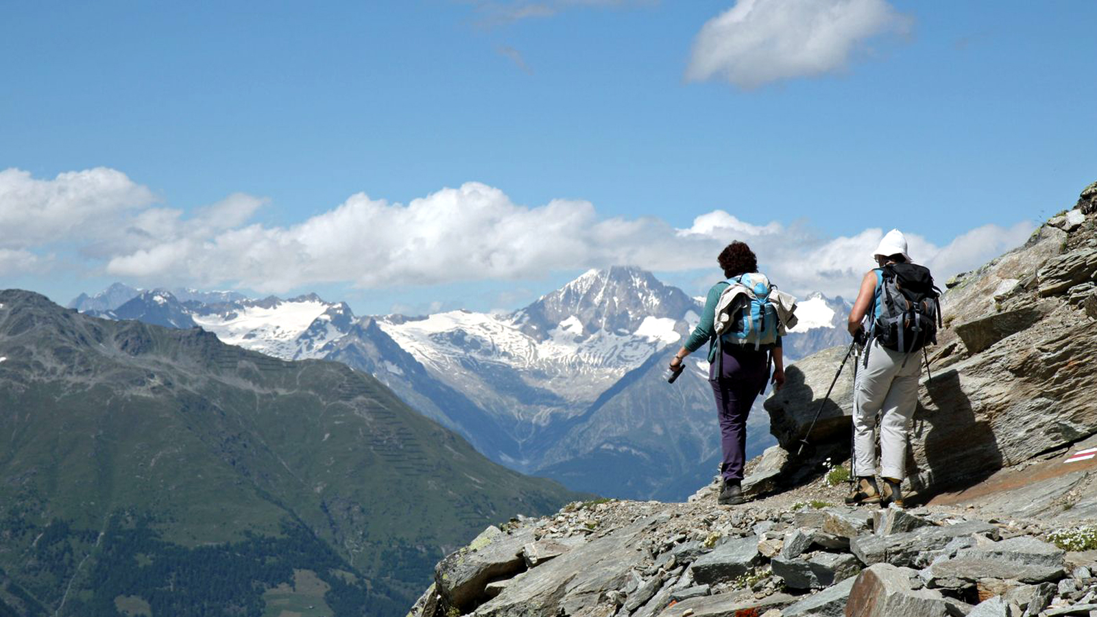 MATTERTAL - NIKOLAITAL